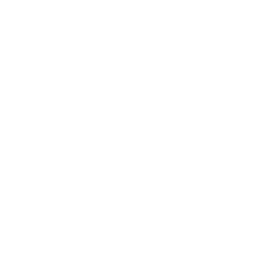 LSS logo